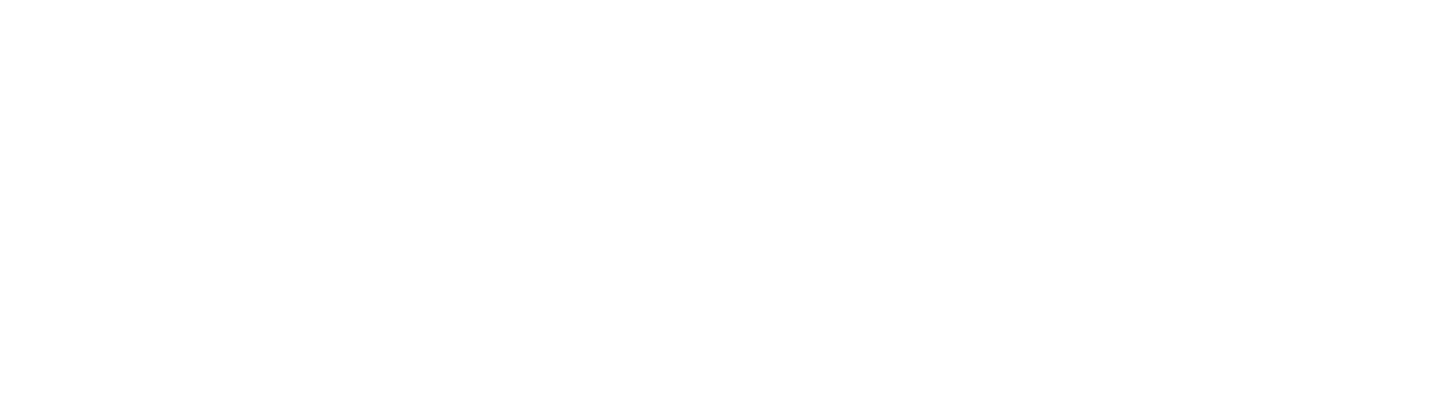 OPTICHANGE_Logo_3-neg